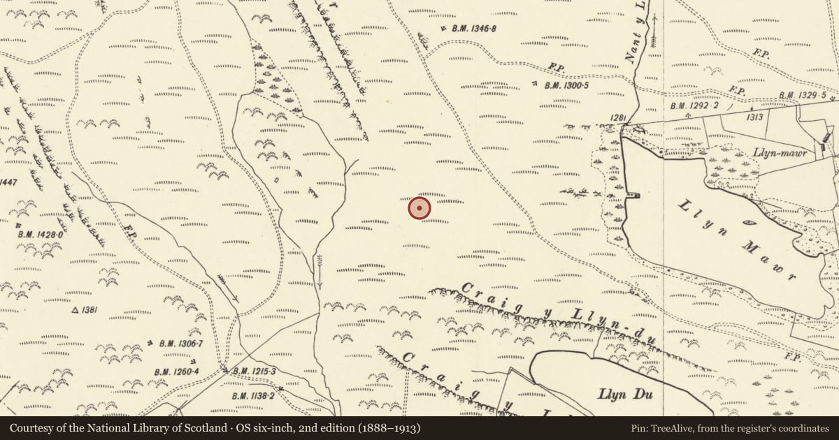 Ordnance Survey six-inch map, 2nd edition (1888–1913) covering the location of Craig y Llyn Mawr platform cairn and standing stone, Caersws, Powys, with a pin at the register's coordinates