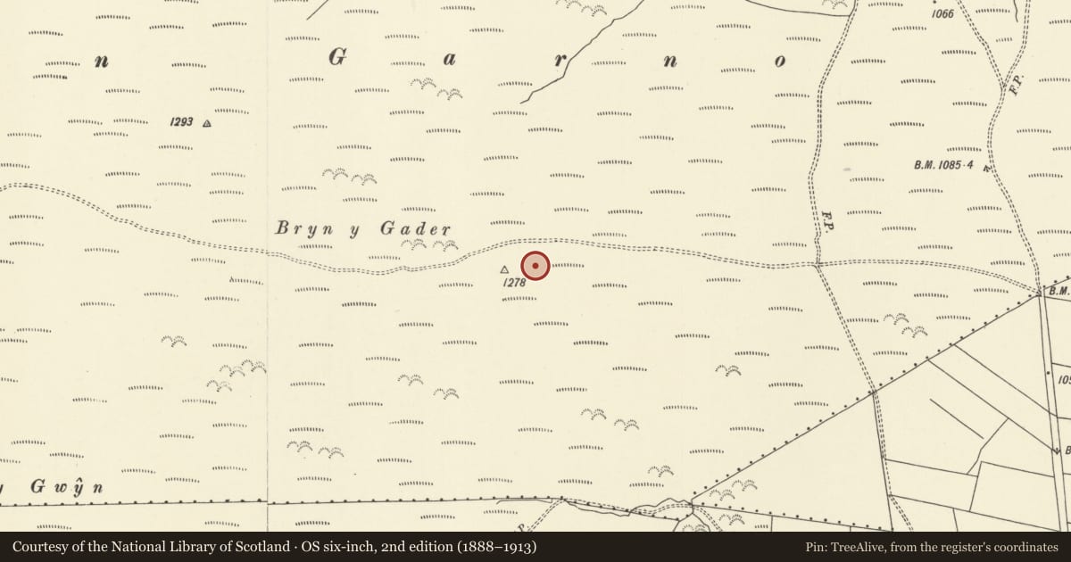 Ordnance Survey six-inch map, 2nd edition (1888–1913) covering the location of Bryn y Gadair round cairn, Carno, Powys, with a pin at the register's coordinates