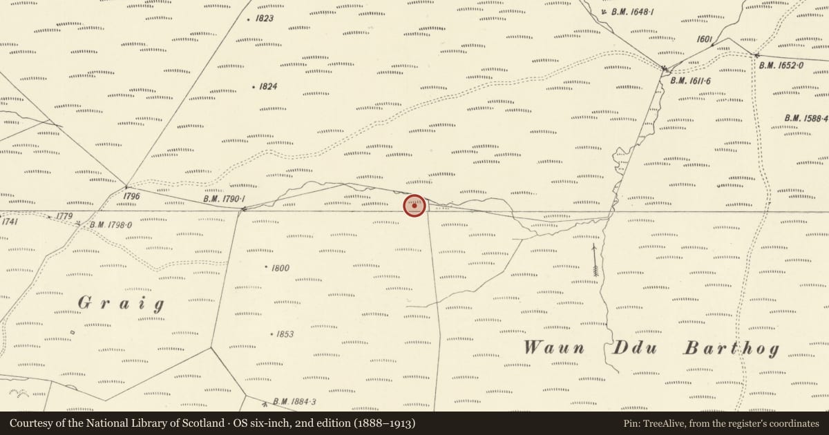 Ordnance Survey six-inch map, 2nd edition (1888–1913) covering the location of Standing Stone, Llandinam, Powys, with a pin at the register's coordinates