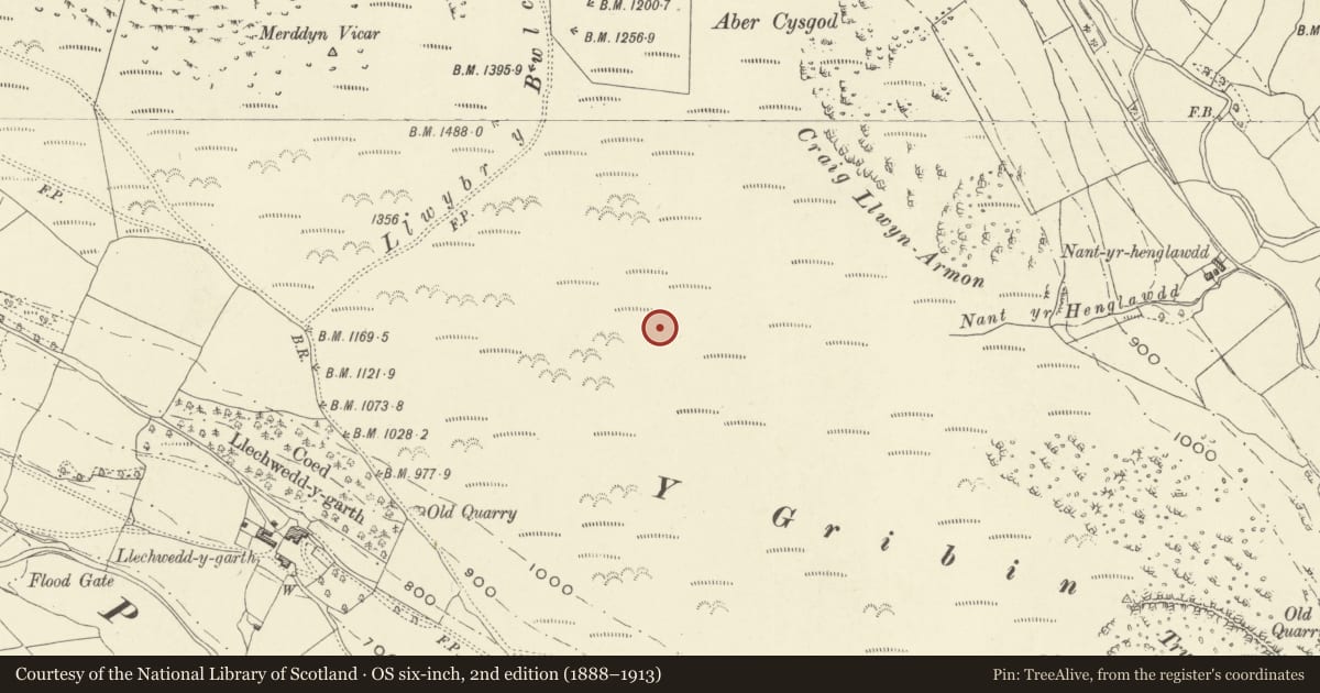 Ordnance Survey six-inch map, 2nd edition (1888–1913) covering the location of Y Gribin Round Cairn, Llangynog, Powys, with a pin at the register's coordinates