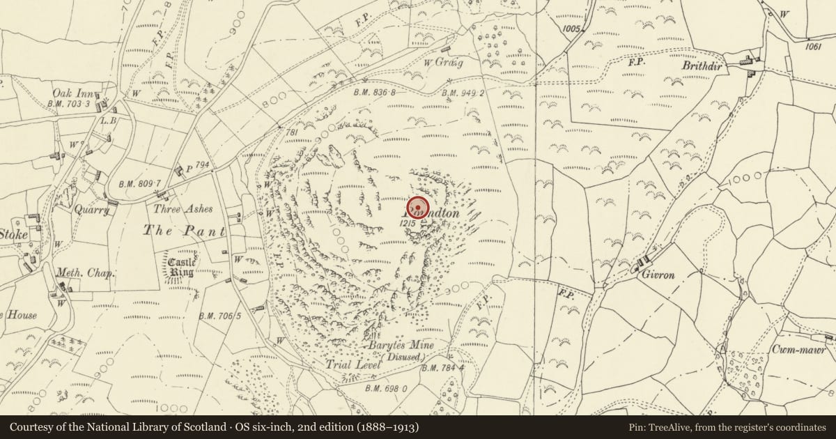 Ordnance Survey six-inch map, 2nd edition (1888–1913) covering the location of Roundton Hillfort, Churchstoke, Powys, with a pin at the register's coordinates