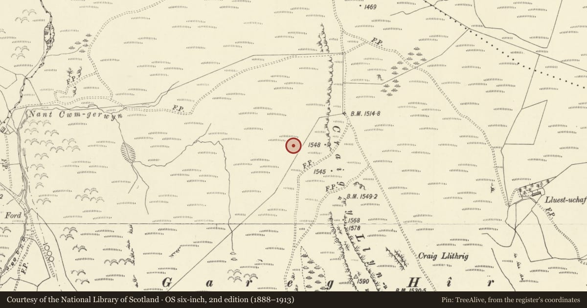 Ordnance Survey six-inch map, 2nd edition (1888–1913) covering the location of Round Hut 700m NNE of Garreg Hir, Caersws, Powys, with a pin at the register's coordinates
