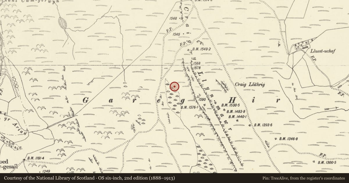 Ordnance Survey six-inch map, 2nd edition (1888–1913) covering the location of Round Hut 400m NE of Garreg Hir, Caersws, Powys, with a pin at the register's coordinates