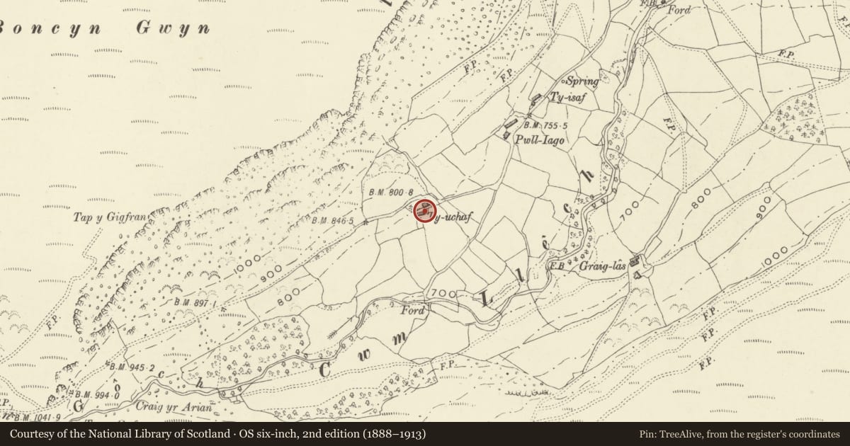 Ordnance Survey six-inch map, 2nd edition (1888–1913) covering the location of Ty Ucha Farmstead, Cwm Llech, Llangynog, Powys, Powys, with a pin at the register's coordinates