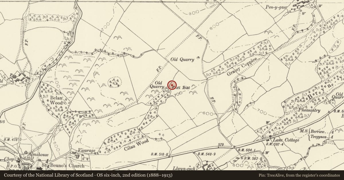 Ordnance Survey six-inch map, 2nd edition (1888–1913) covering the location of Caer Siac Motte and Bailey, Bettws, Powys, with a pin at the register's coordinates