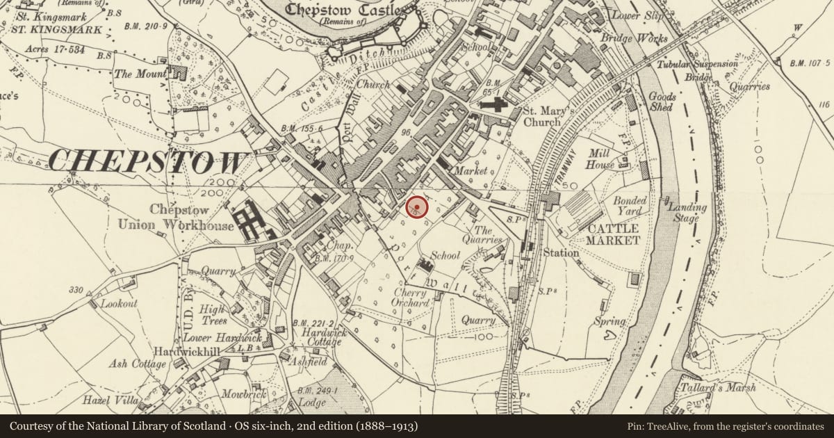 Ordnance Survey six-inch map, 2nd edition (1888–1913) covering the location of Chepstow Town Wall and Gate, Monmouthshire, with a pin at the register's coordinates