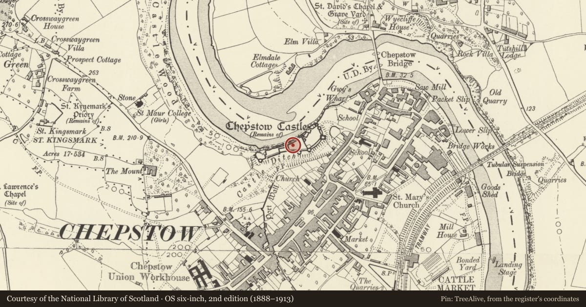 Ordnance Survey six-inch map, 2nd edition (1888–1913) covering the location of Chepstow Castle, Monmouthshire, with a pin at the register's coordinates