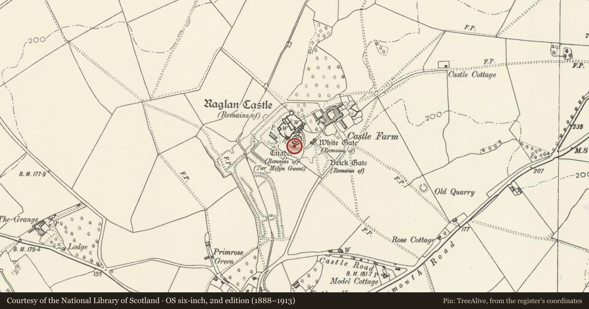Ordnance Survey six-inch map, 2nd edition (1888–1913) covering the location of Castell Rhaglan, Raglan, Monmouthshire, with a pin at the register's coordinates