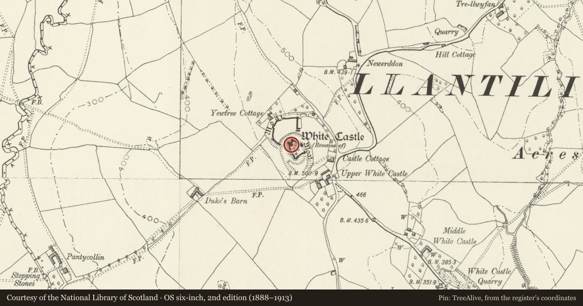 Ordnance Survey six-inch map, 2nd edition (1888–1913) covering the location of White Castle, Llantilio Crossenny, Monmouthshire, with a pin at the register's coordinates