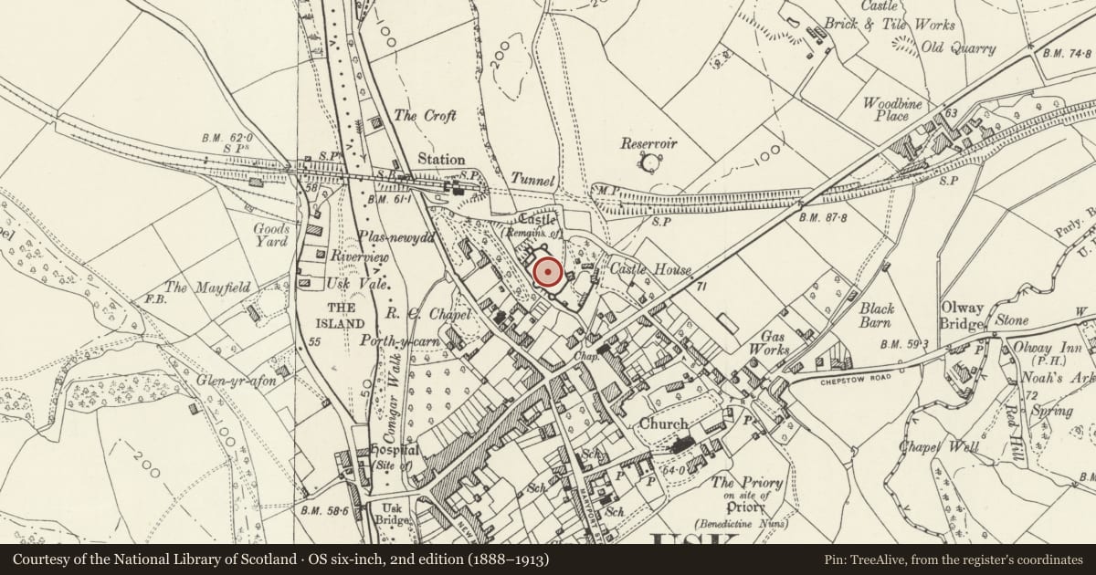 Ordnance Survey six-inch map, 2nd edition (1888–1913) covering the location of Usk Castle (Unoccupied Parts), Monmouthshire, with a pin at the register's coordinates