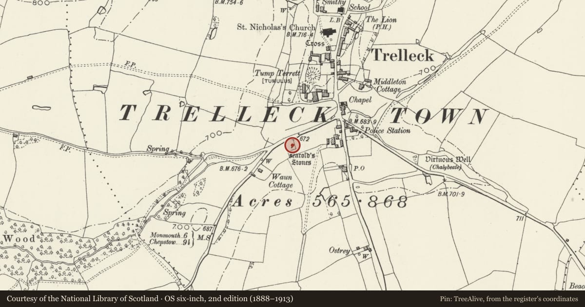 Ordnance Survey six-inch map, 2nd edition (1888–1913) covering the location of Harold's Stones, Standing Stones, Trellech United, Monmouthshire, with a pin at the register's coordinates
