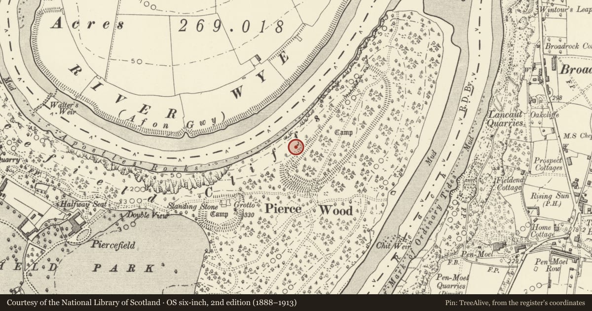Ordnance Survey six-inch map, 2nd edition (1888–1913) covering the location of Pierce Wood Camps, St. Arvans, Monmouthshire, with a pin at the register's coordinates