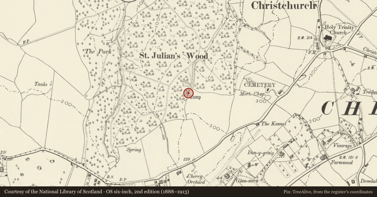 Ordnance Survey six-inch map, 2nd edition (1888–1913) covering the location of St Julian's Wood Camp, Caerleon, Newport, with a pin at the register's coordinates