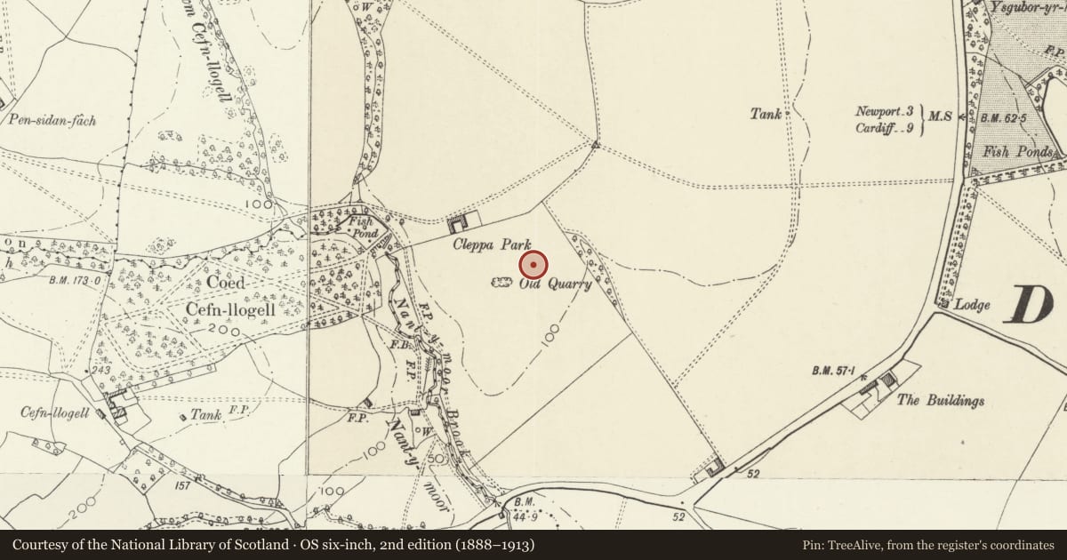 Ordnance Survey six-inch map, 2nd edition (1888–1913) covering the location of Gwern y Cleppa Burial Chamber, Coedkernew, Newport, with a pin at the register's coordinates
