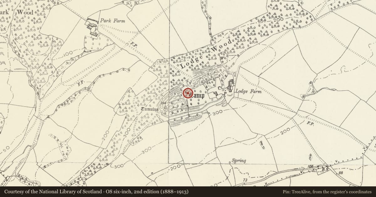 Ordnance Survey six-inch map, 2nd edition (1888–1913) covering the location of Lodge Wood Camp, Caerleon, Newport, with a pin at the register's coordinates