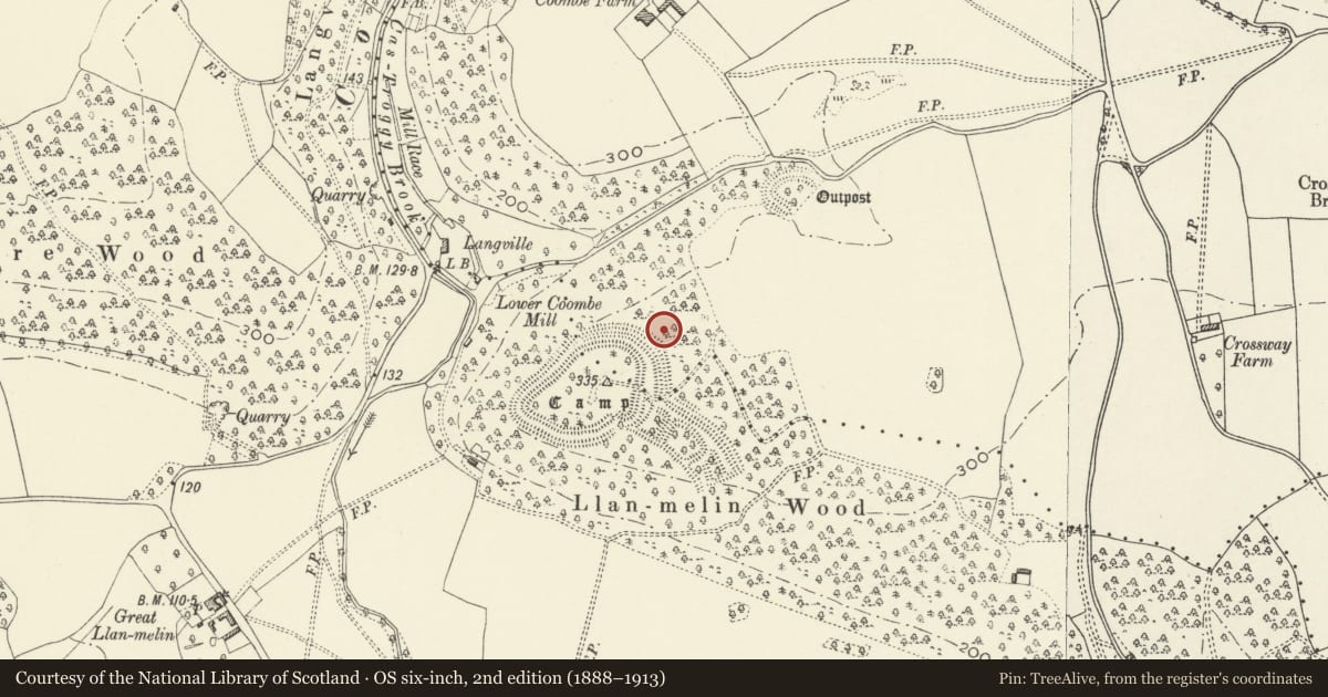 Ordnance Survey six-inch map, 2nd edition (1888–1913) covering the location of Llanmelin Wood Hillfort, Shirenewton, Monmouthshire, with a pin at the register's coordinates
