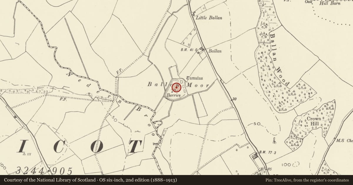 Ordnance Survey six-inch map, 2nd edition (1888–1913) covering the location of The Berries Mound & Bailey Castle, Caldicot, Monmouthshire, with a pin at the register's coordinates