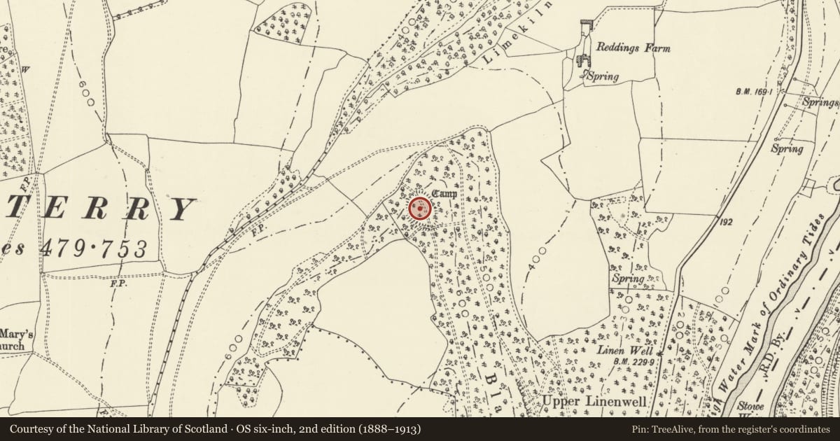 Ordnance Survey six-inch map, 2nd edition (1888–1913) covering the location of Blackcliff Wood Camp, Wye Valley, Monmouthshire, with a pin at the register's coordinates