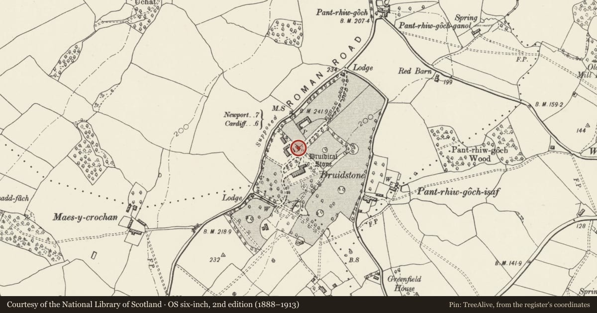 Ordnance Survey six-inch map, 2nd edition (1888–1913) covering the location of Druidstone Standing Stone, Michaelstone-y-Fedw, Newport, with a pin at the register's coordinates