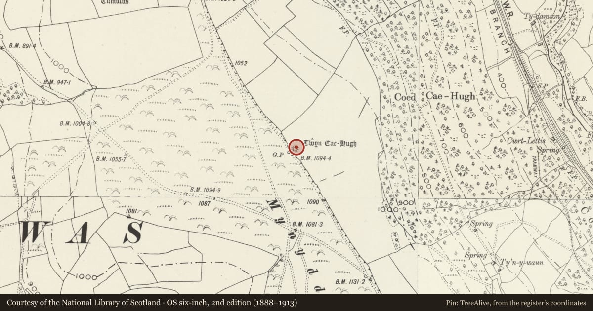 Ordnance Survey six-inch map, 2nd edition (1888–1913) covering the location of Twyn Cae-Hugh Round Barrow, Ynysddu, Caerphilly, with a pin at the register's coordinates