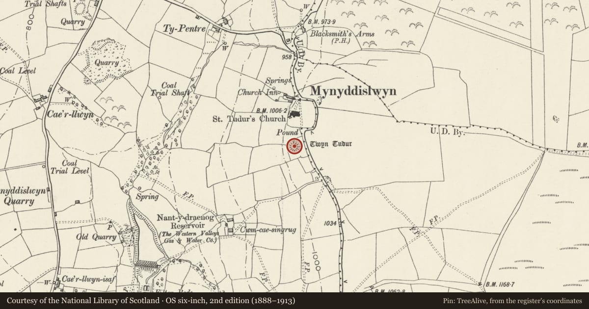 Ordnance Survey six-inch map, 2nd edition (1888–1913) covering the location of Twyn Tudor, Ynysddu, Caerphilly, with a pin at the register's coordinates