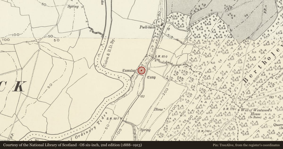 Ordnance Survey six-inch map, 2nd edition (1888–1913) covering the location of Kemeys Inferior Mound & Bailey Castle, Langstone, Newport, with a pin at the register's coordinates