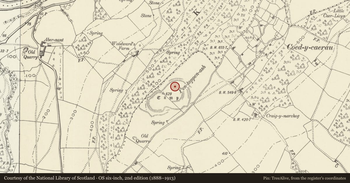 Ordnance Survey six-inch map, 2nd edition (1888–1913) covering the location of Pen-Toppen-Ash Camp, Langstone, Newport, with a pin at the register's coordinates