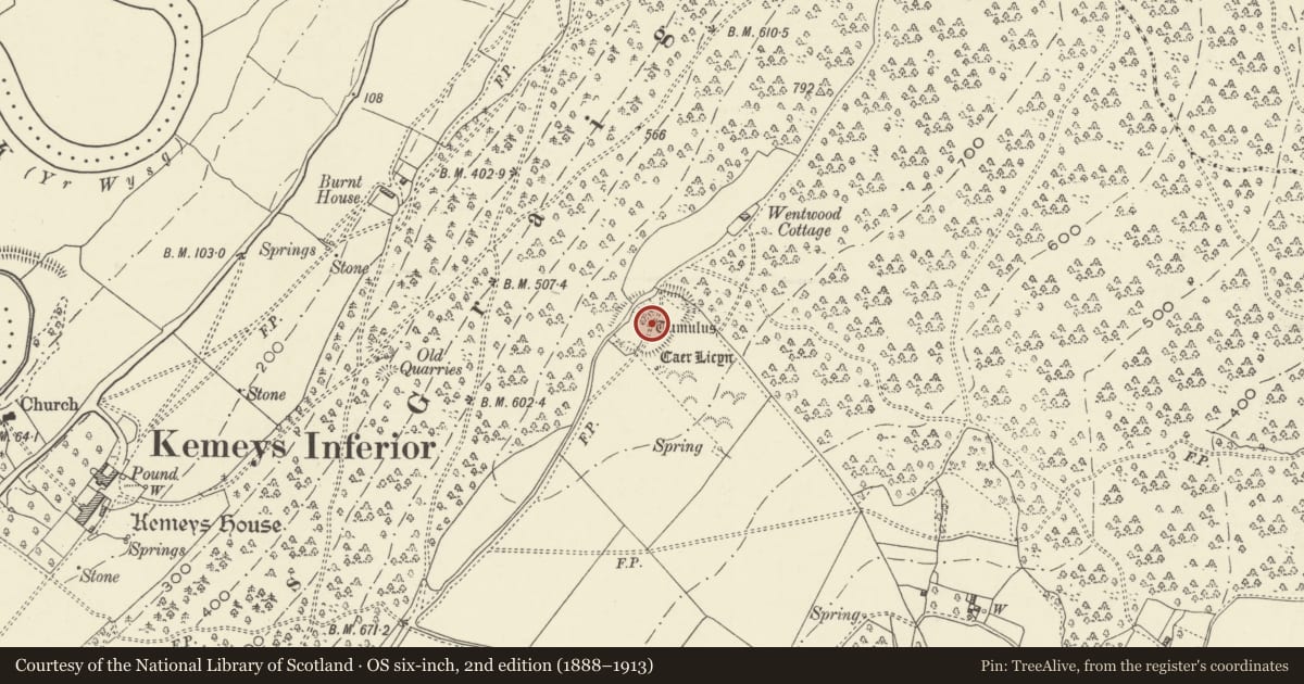 Ordnance Survey six-inch map, 2nd edition (1888–1913) covering the location of Caer Licyn, Langstone, Newport, with a pin at the register's coordinates