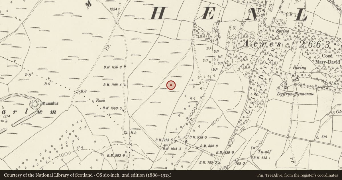 Ordnance Survey six-inch map, 2nd edition (1888–1913) covering the location of Cairns West of Craig y Dyffryn, Henllys, Torfaen, with a pin at the register's coordinates