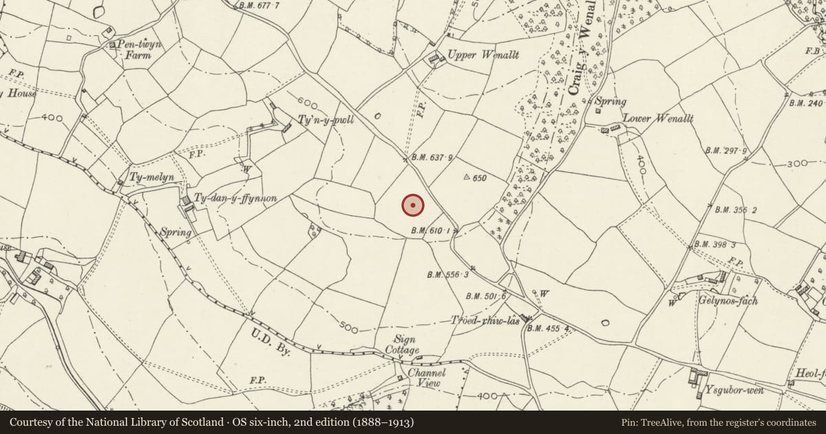 Ordnance Survey six-inch map, 2nd edition (1888–1913) covering the location of Round Cairn 315m S of Upper Wenallt, Risca, Caerphilly, with a pin at the register's coordinates