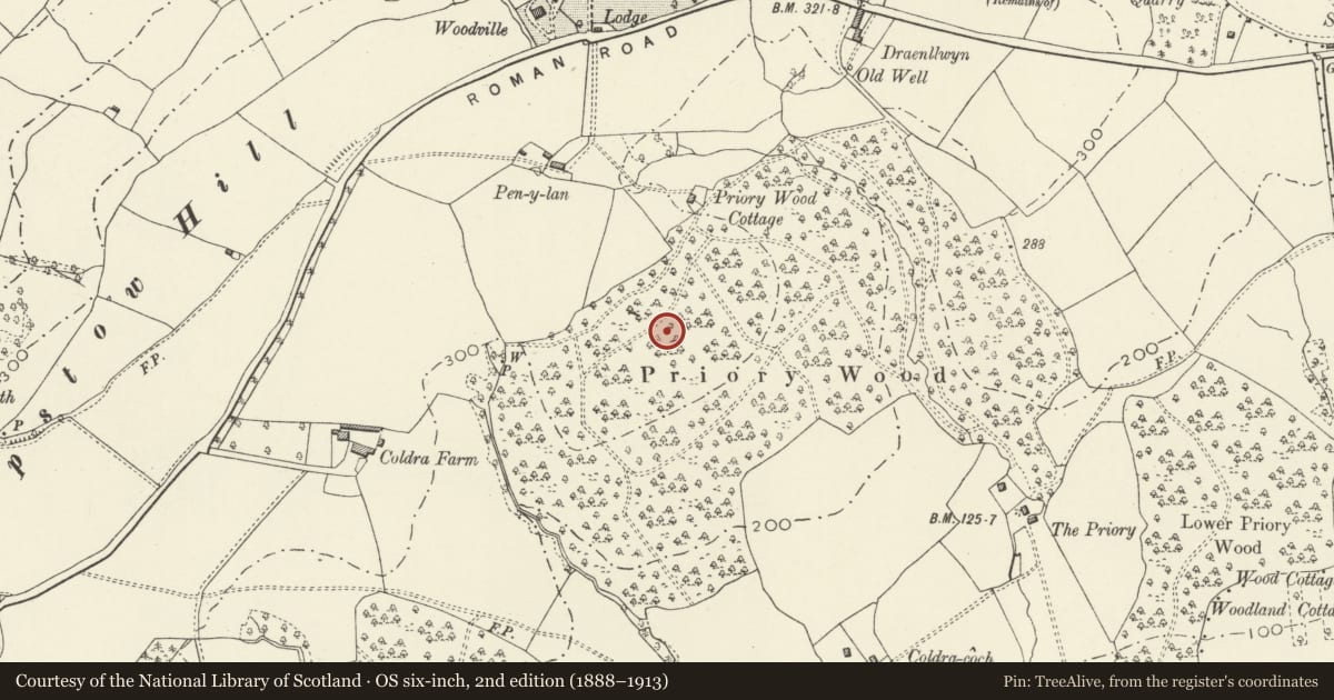 Ordnance Survey six-inch map, 2nd edition (1888–1913) covering the location of Priory Wood Camp, Caerleon, Newport, with a pin at the register's coordinates