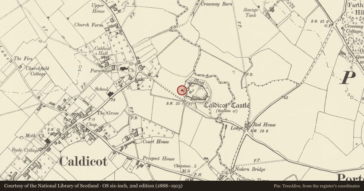 Ordnance Survey six-inch map, 2nd edition (1888–1913) covering the location of Caldicot Castle (unoccupied parts), Monmouthshire, with a pin at the register's coordinates
