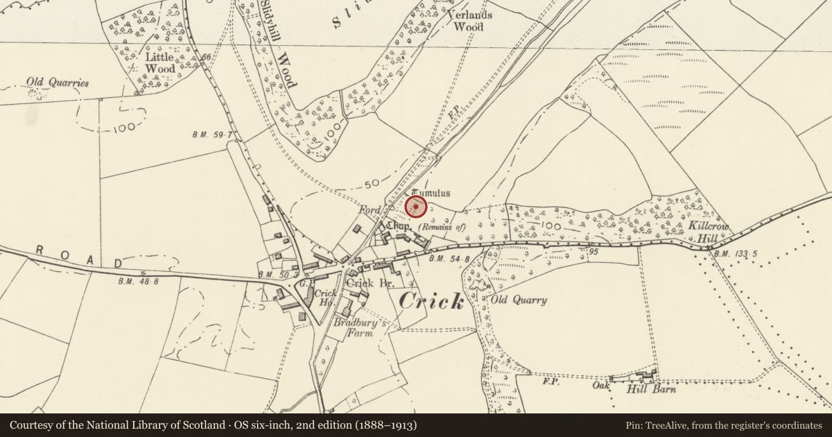 Ordnance Survey six-inch map, 2nd edition (1888–1913) covering the location of Crick Moated Site, Caerwent, Monmouthshire, with a pin at the register's coordinates