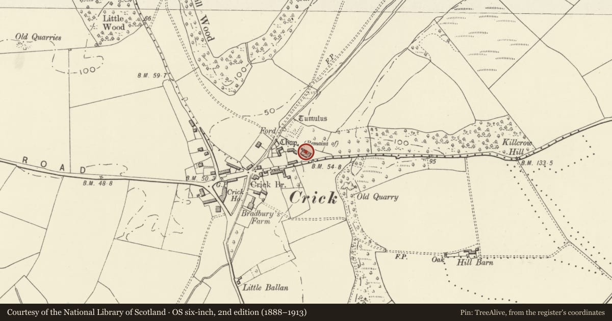 Ordnance Survey six-inch map, 2nd edition (1888–1913) covering the location of Crick Medieval House, Caerwent, Monmouthshire, with a pin at the register's coordinates