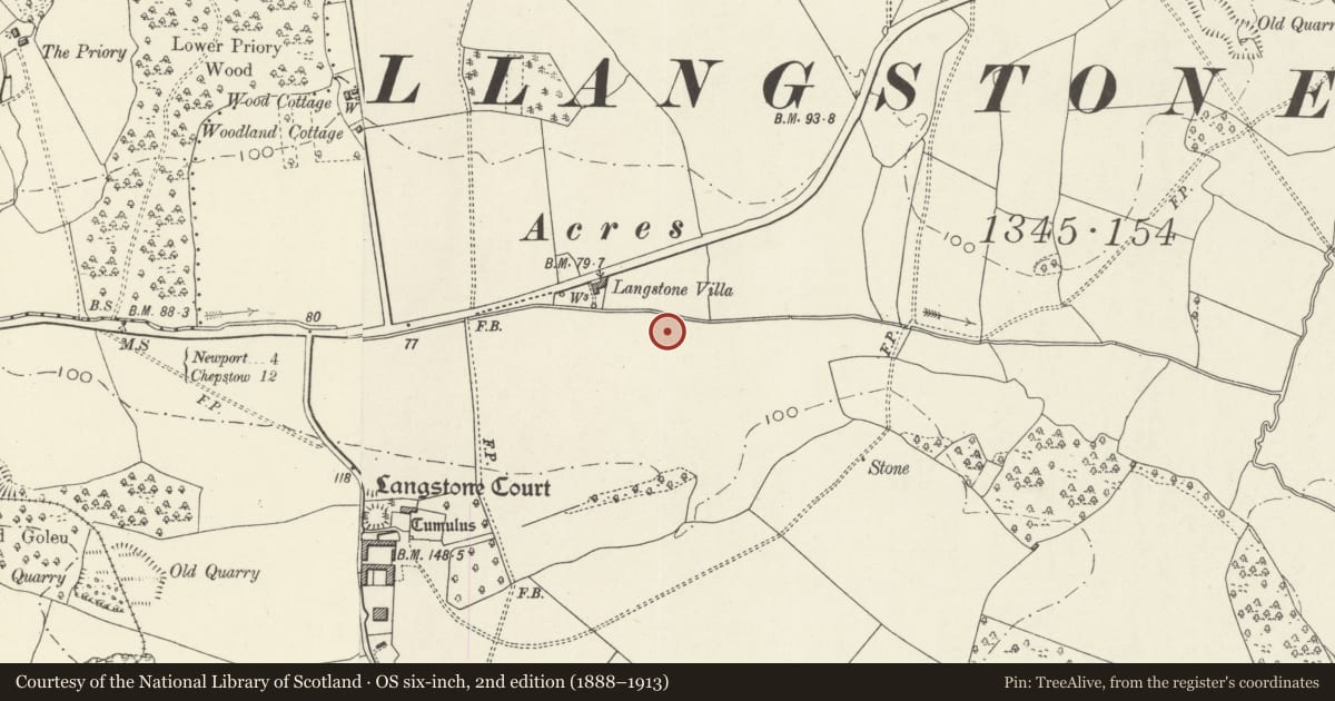 Ordnance Survey six-inch map, 2nd edition (1888–1913) covering the location of Langstone Fish Pond, Newport, with a pin at the register's coordinates