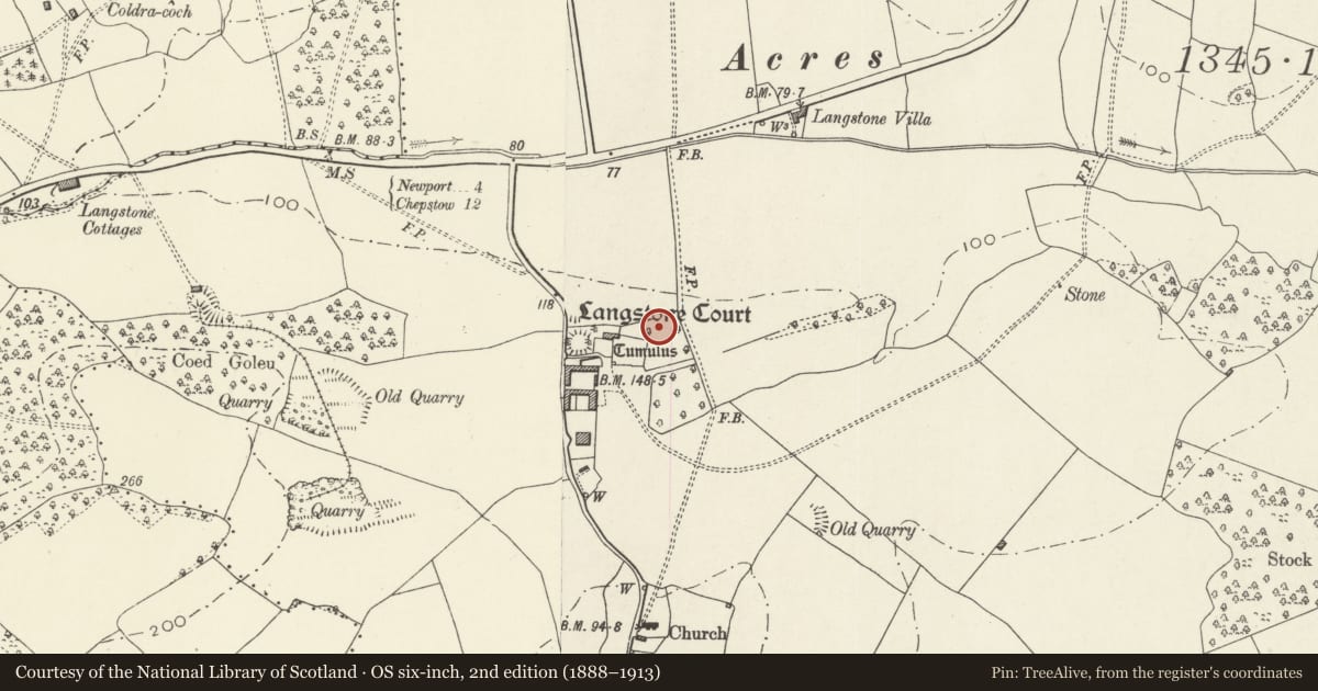 Ordnance Survey six-inch map, 2nd edition (1888–1913) covering the location of Langstone motte and enclosure, Newport, with a pin at the register's coordinates