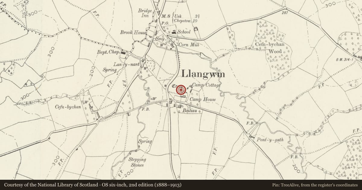 Ordnance Survey six-inch map, 2nd edition (1888–1913) covering the location of Llangwm Mound & Bailey Castle, Monmouthshire, with a pin at the register's coordinates