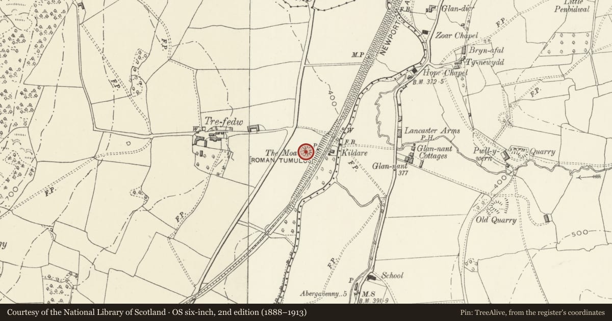 Ordnance Survey six-inch map, 2nd edition (1888–1913) covering the location of The Moat Mound and Bailey Castle, Tre Fedw, Crucorney, Monmouthshire, with a pin at the register's coordinates