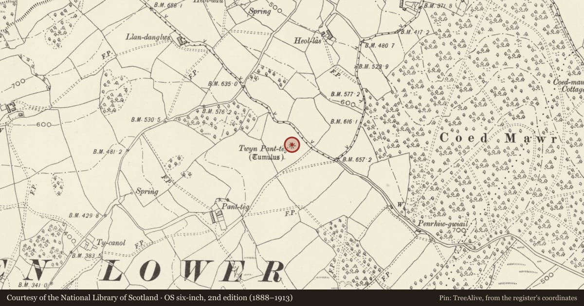 Ordnance Survey six-inch map, 2nd edition (1888–1913) covering the location of Twyn Pant-Teg Round Barrow, Graig, Newport, with a pin at the register's coordinates