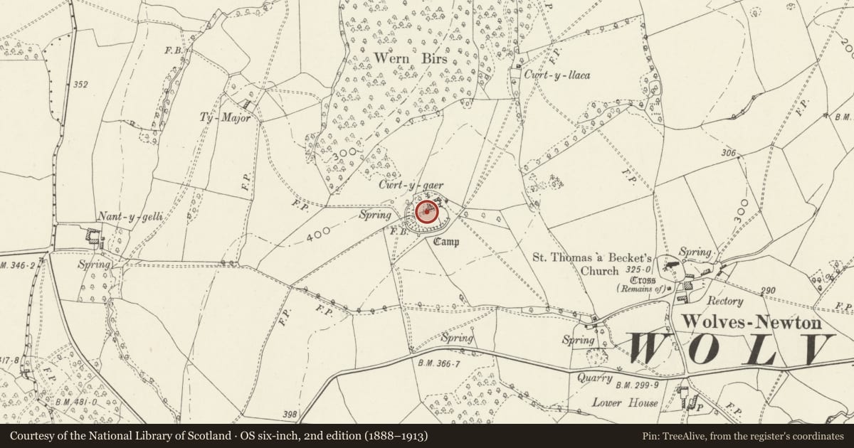 Ordnance Survey six-inch map, 2nd edition (1888–1913) covering the location of Cwrt y Gaer Ringwork, Devauden, Monmouthshire, with a pin at the register's coordinates