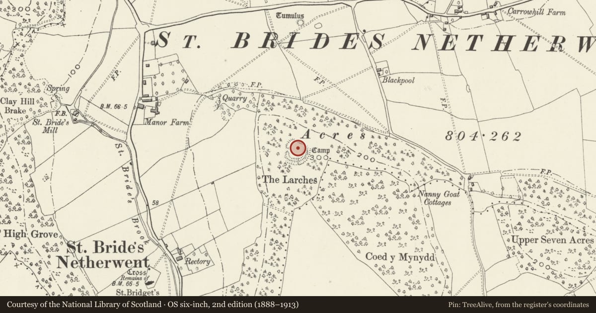 Ordnance Survey six-inch map, 2nd edition (1888–1913) covering the location of The Larches Camp, Caerwent, Monmouthshire, with a pin at the register's coordinates