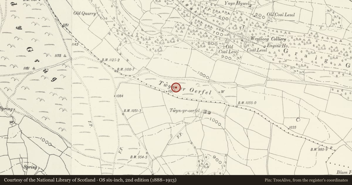 Ordnance Survey six-inch map, 2nd edition (1888–1913) covering the location of Twyn-Yr-Oerfel Round Barrows, Ynysddu, Caerphilly, with a pin at the register's coordinates