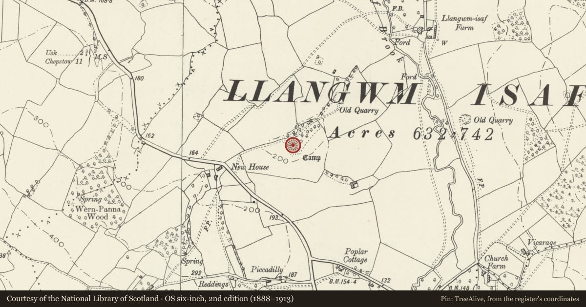 Ordnance Survey six-inch map, 2nd edition (1888–1913) covering the location of Ringwork NE of New House, Llangwm, Monmouthshire, with a pin at the register's coordinates