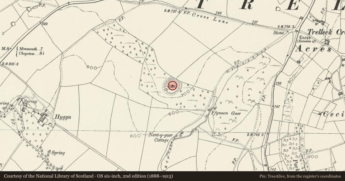 Ordnance Survey six-inch map, 2nd edition (1888–1913) covering the location of Gaer 594m SW of Trellech Cross, Trellech United, Monmouthshire, with a pin at the register's coordinates