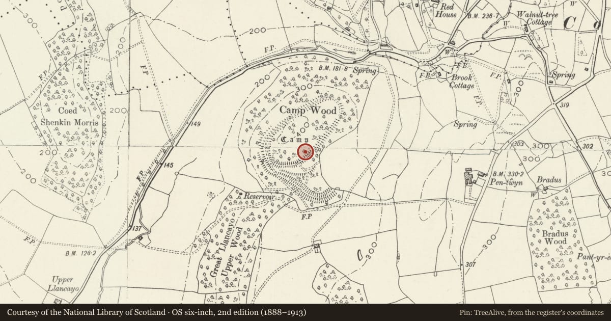 Ordnance Survey six-inch map, 2nd edition (1888–1913) covering the location of Llancayo Camp, Gwehelog Fawr, Monmouthshire, with a pin at the register's coordinates