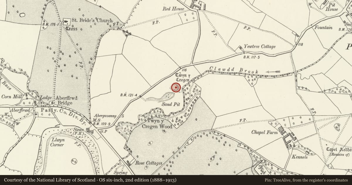Ordnance Survey six-inch map, 2nd edition (1888–1913) covering the location of Twyn y Cregen Castle Mound, Llanarth, Monmouthshire, with a pin at the register's coordinates