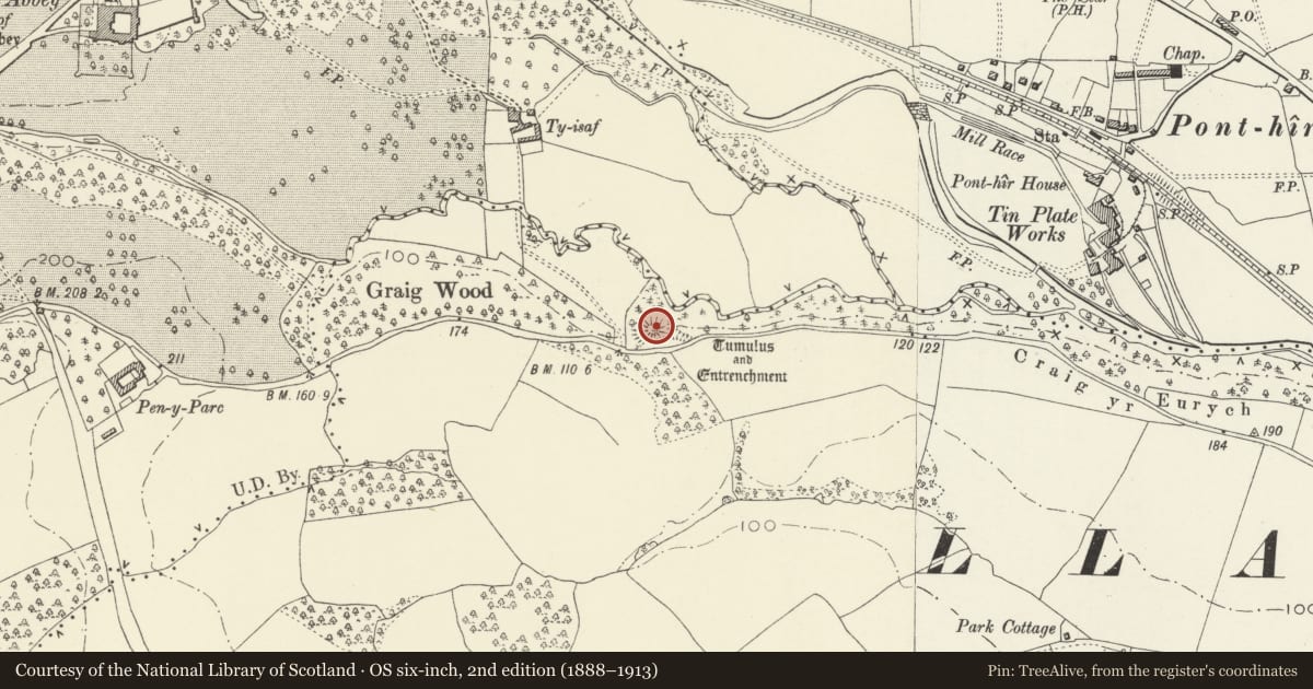 Ordnance Survey six-inch map, 2nd edition (1888–1913) covering the location of Castle Mound E of Graig Wood, Caerleon, Newport, with a pin at the register's coordinates