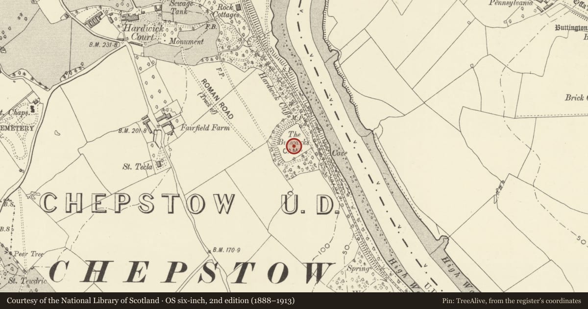 Ordnance Survey six-inch map, 2nd edition (1888–1913) covering the location of Bulwarks Prehistoric Enclosure, Chepstow, Monmouthshire, with a pin at the register's coordinates
