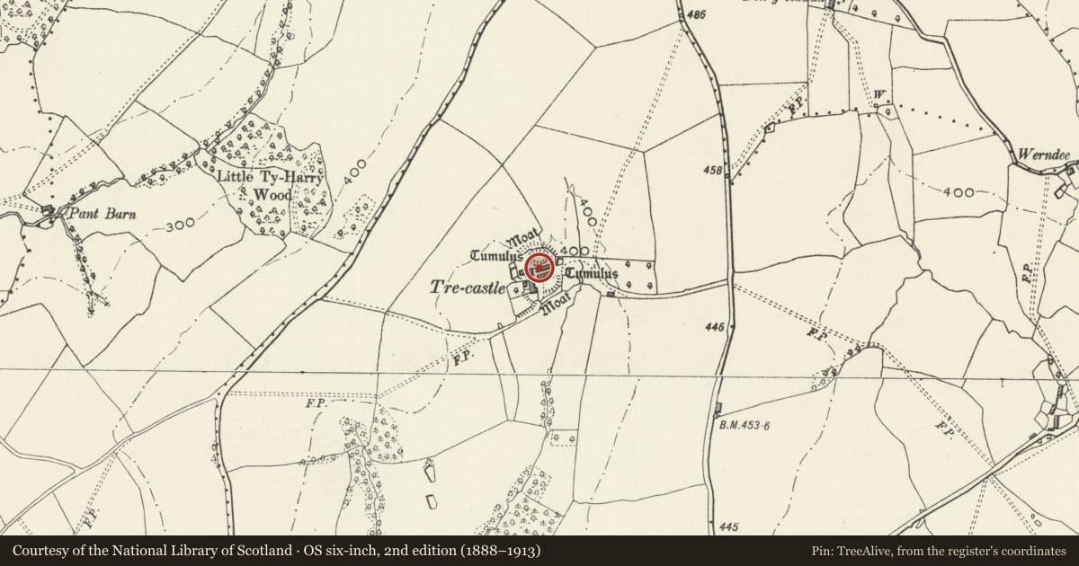 Ordnance Survey six-inch map, 2nd edition (1888–1913) covering the location of Trecastle motte and bailey, Raglan, Monmouthshire, with a pin at the register's coordinates