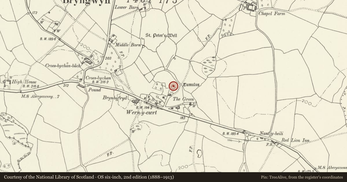 Ordnance Survey six-inch map, 2nd edition (1888–1913) covering the location of Wern-y-Cwrt Castle Mound, Llanarth, Monmouthshire, with a pin at the register's coordinates